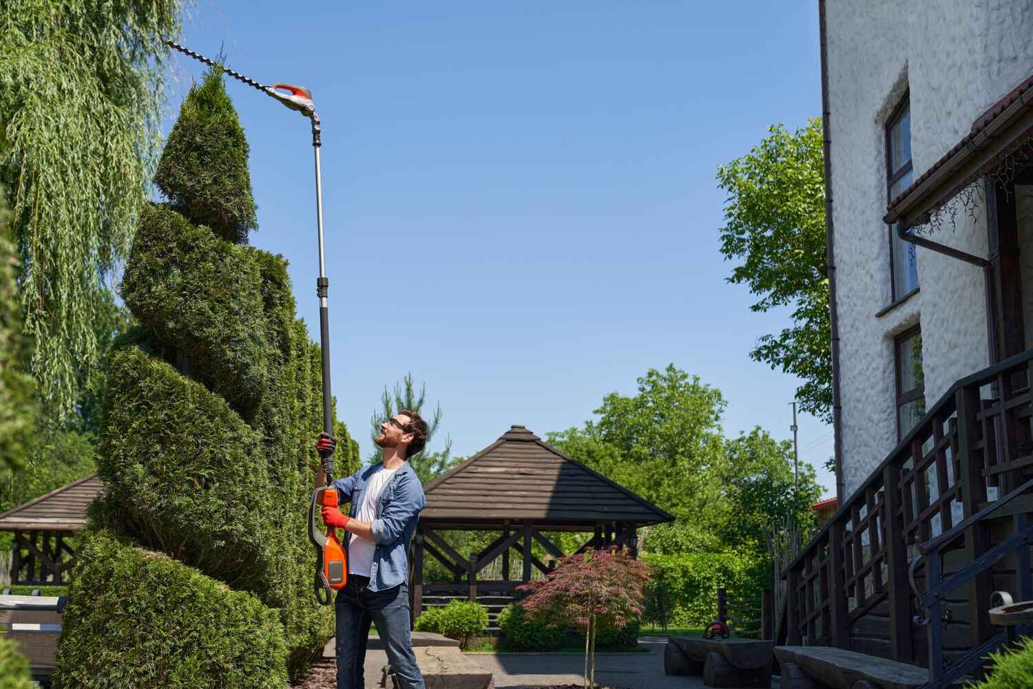 Tree Removal for Businesses in Donalsonville, GA